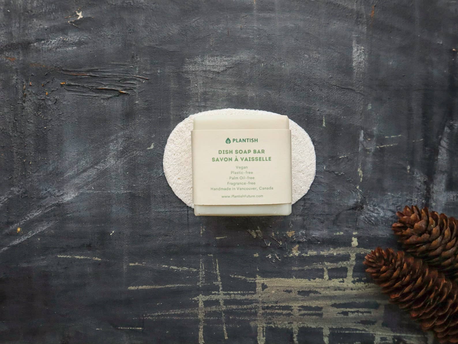 Solid Dish Soap Bar (8oz): Soap Bar