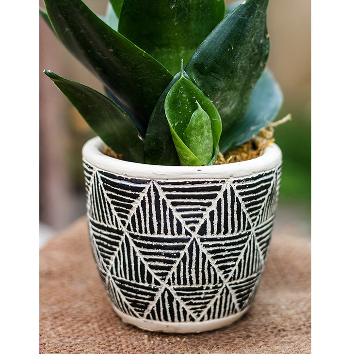 Jardinière géométrique